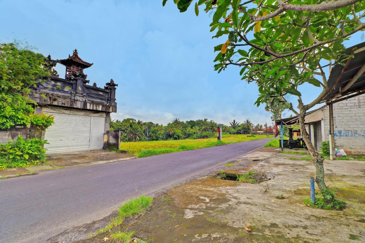 Ijo Eco Lodge Bali Mengwi Exterior foto